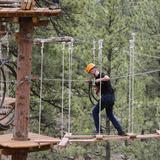 Treehouse Adventure Park