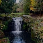Jesmond Dene Falls