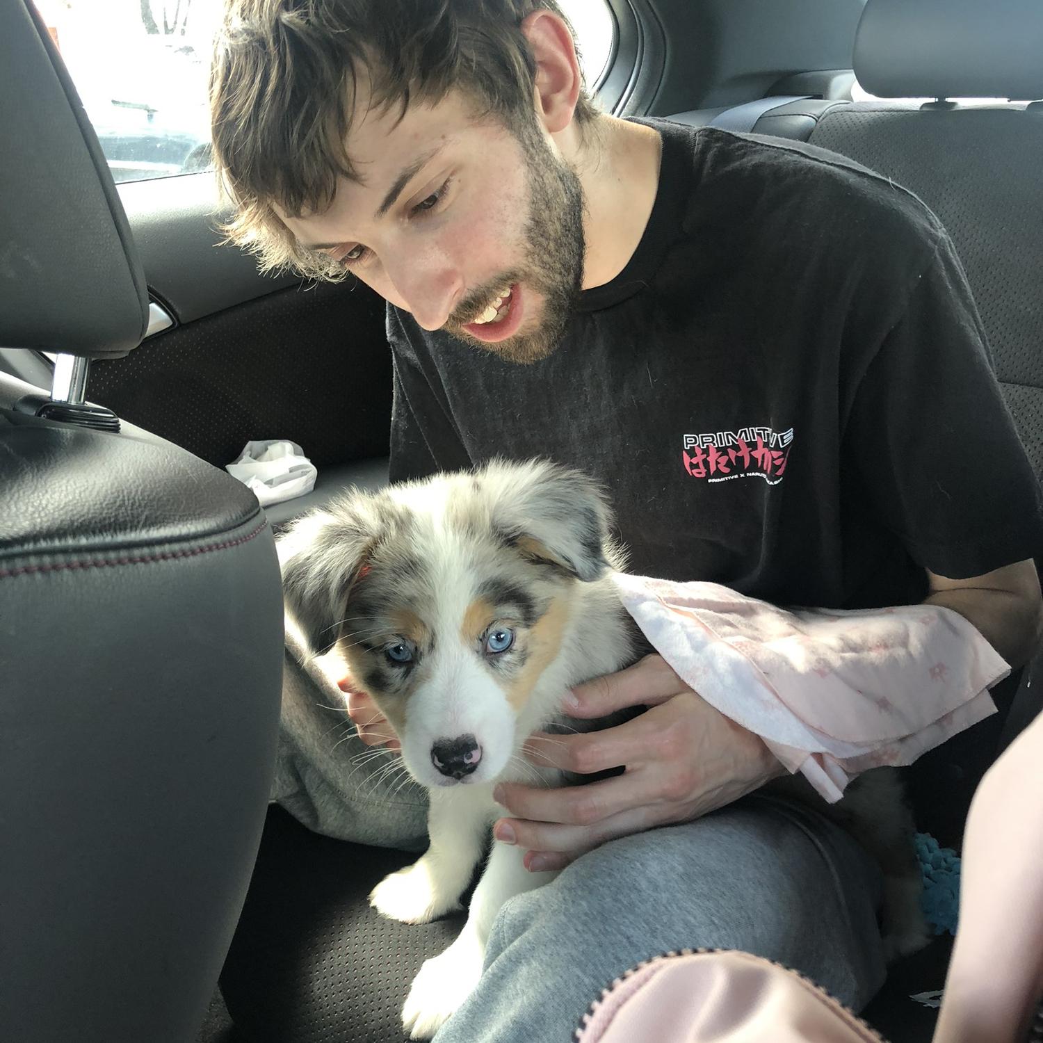 Growing our family by adding four little paws 🐾