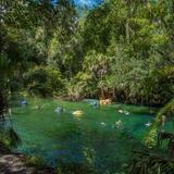 Blue Springs Park