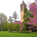 Iowa State University