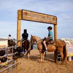 Outer Banks - OBX Horseback