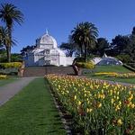 Golden Gate Park