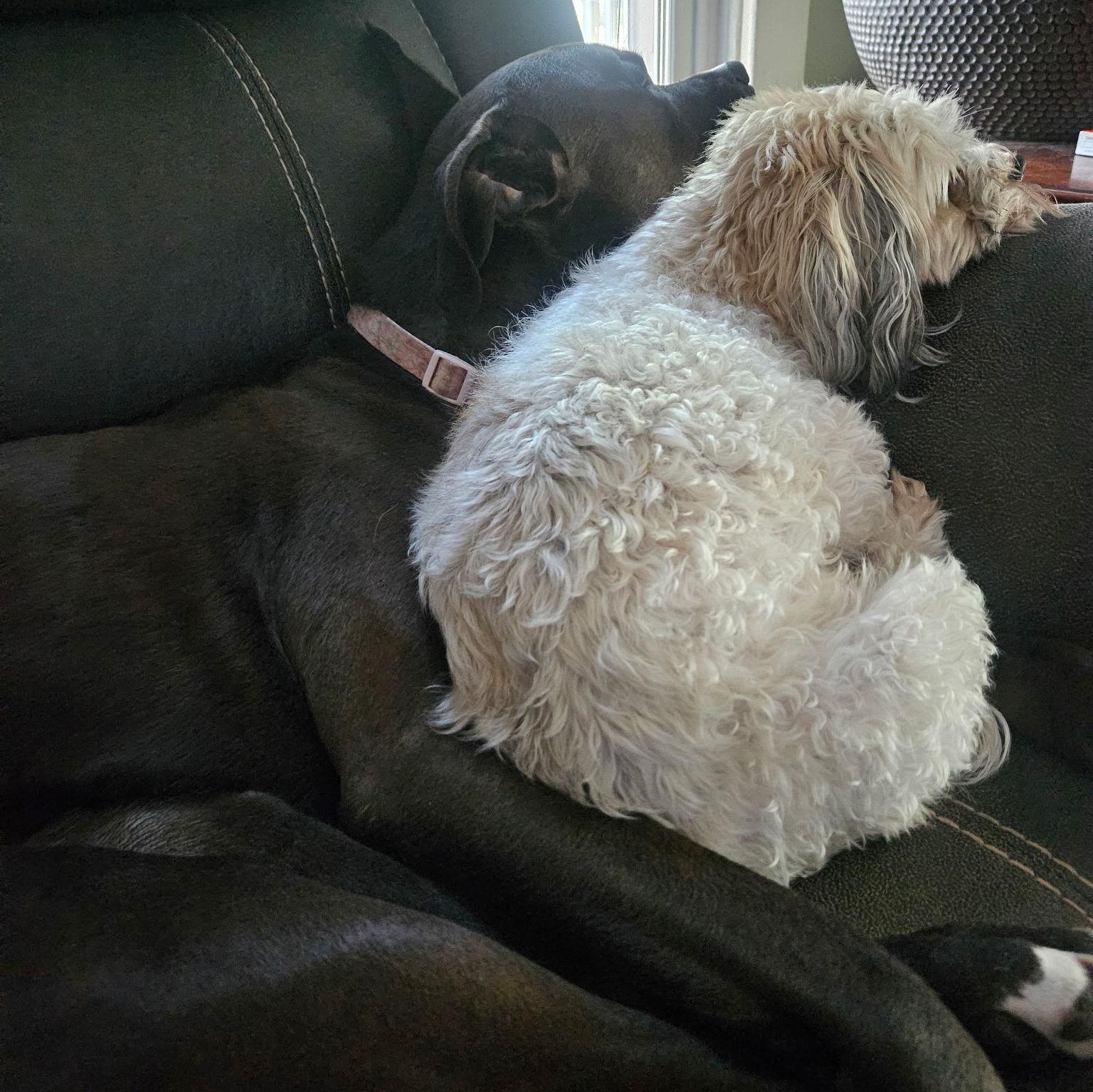 Manzy handled it better than Phoebe did.