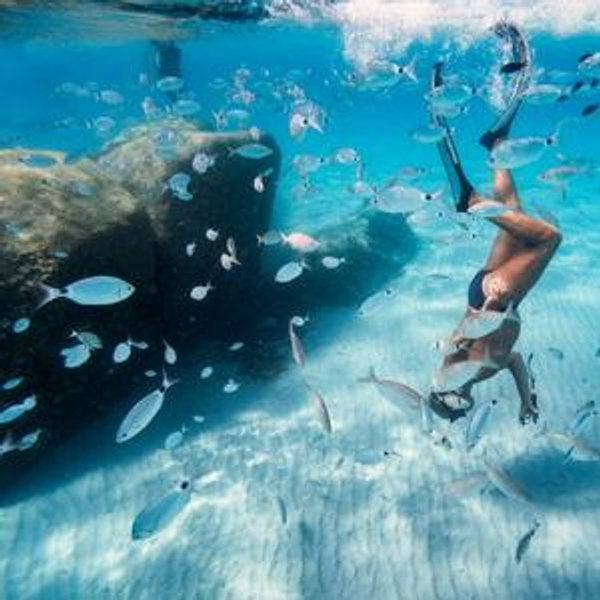 Snorkeling in Dubrovnik
