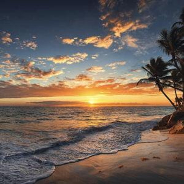 Our Honeymoon Fund to Maui