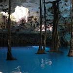 Xenotes