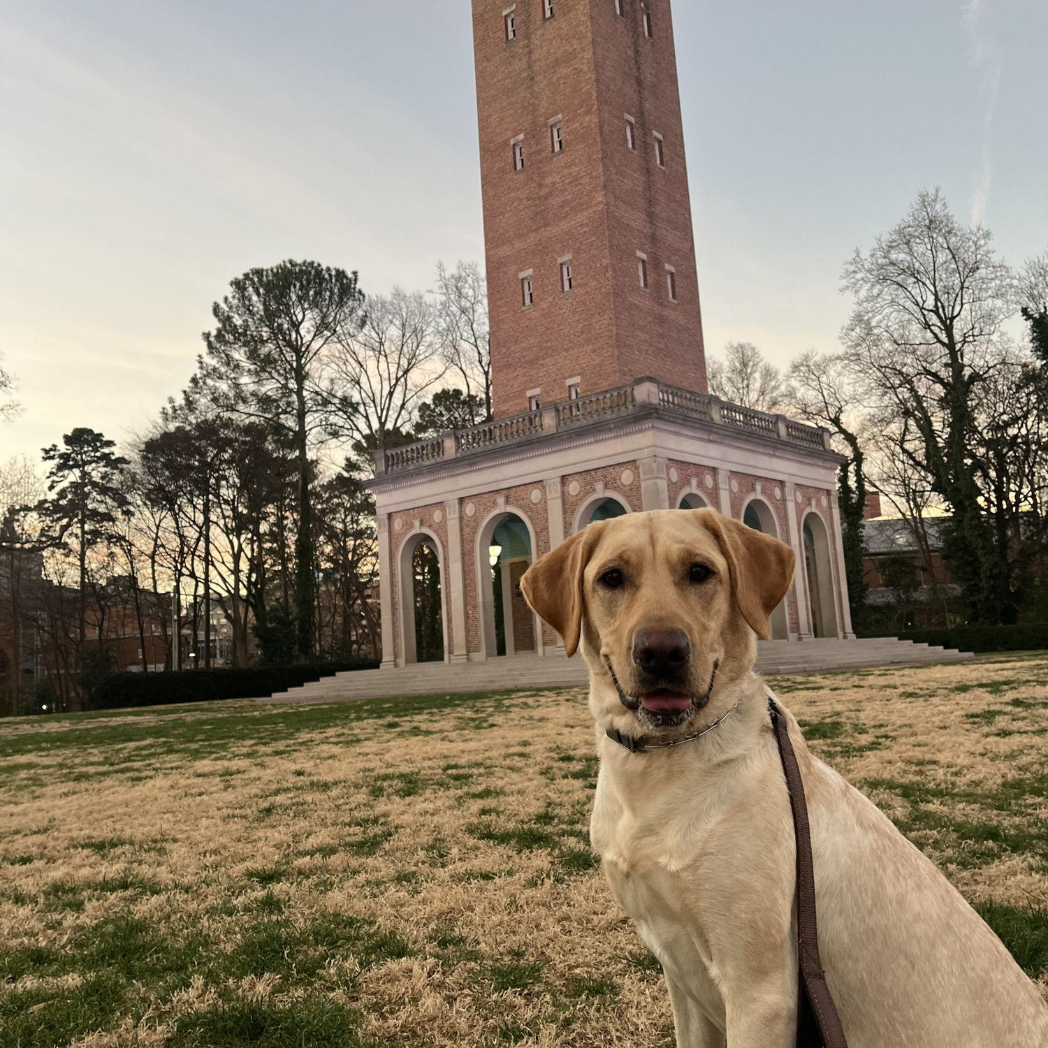 The crazy blond that brings us so much joy (and terror..iykyk)