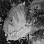 Dinosaur Museum