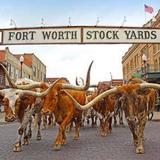 Fort Worth Stockyards