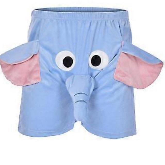 Sexy underwear for the groom