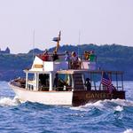 Harbor & Sunset Cruises