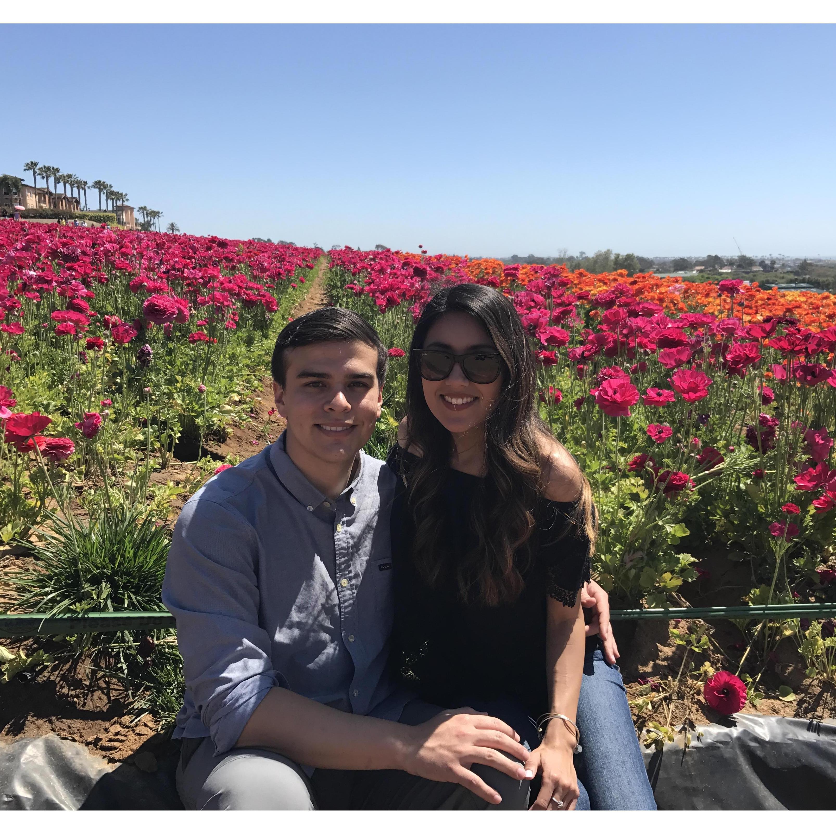 Exploring the flower fields in San Diego