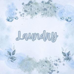 Laundry- Category