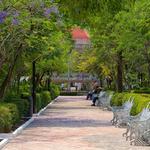 Jardín de San Marcos