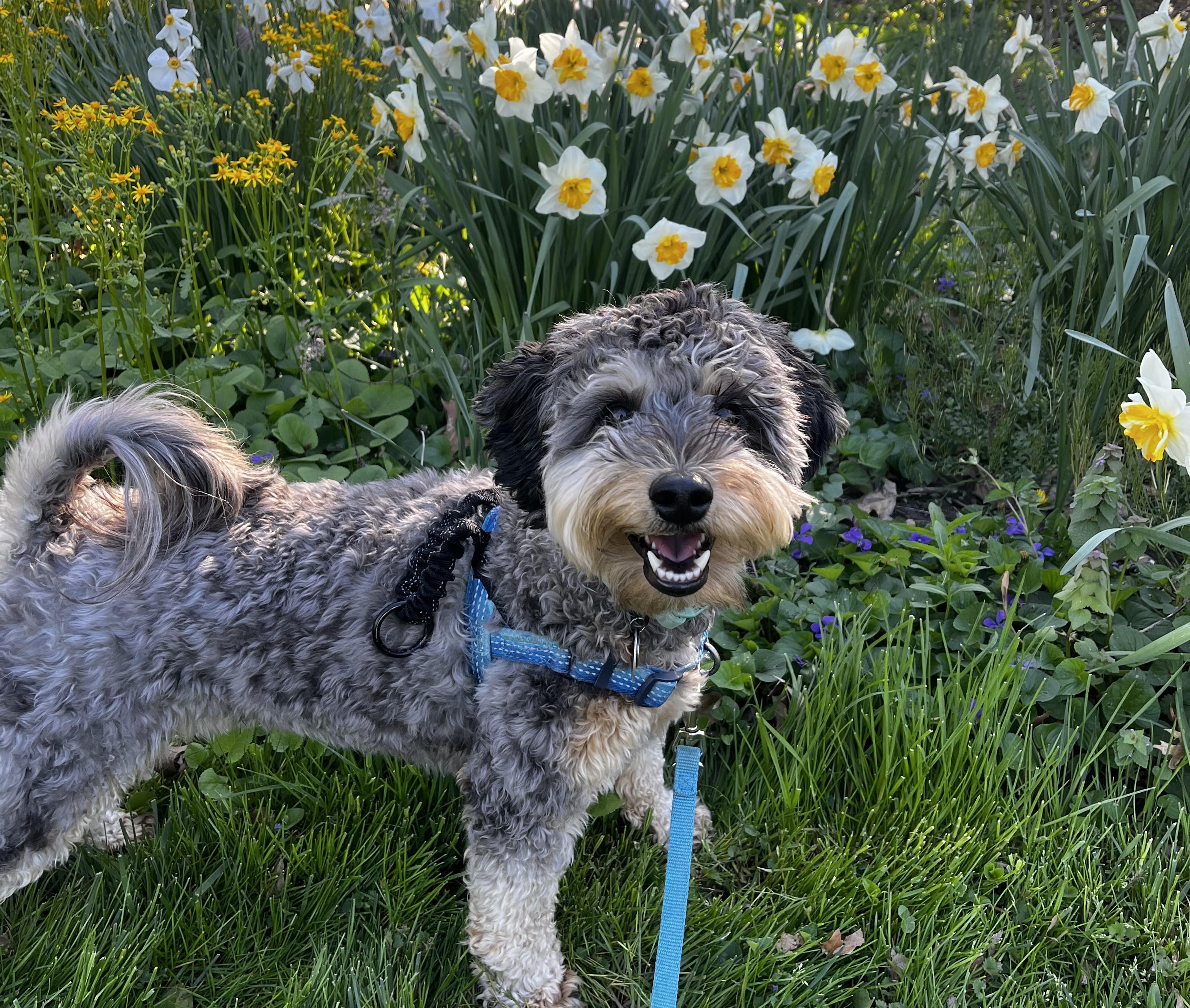 The Wedding Website of Julia Reilly and Alex Reilly