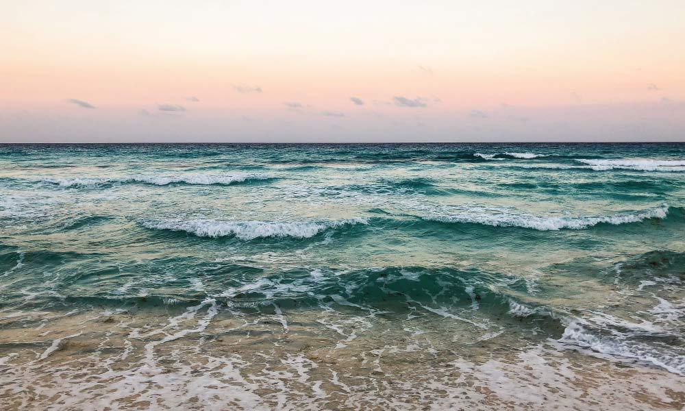 The Wedding Website of Haley Driebel and Christian Andres