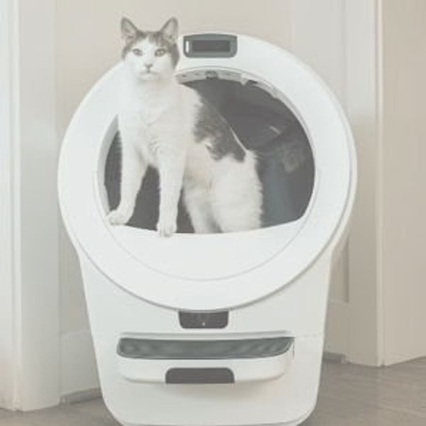 Litter-Robot® 4 WHITE