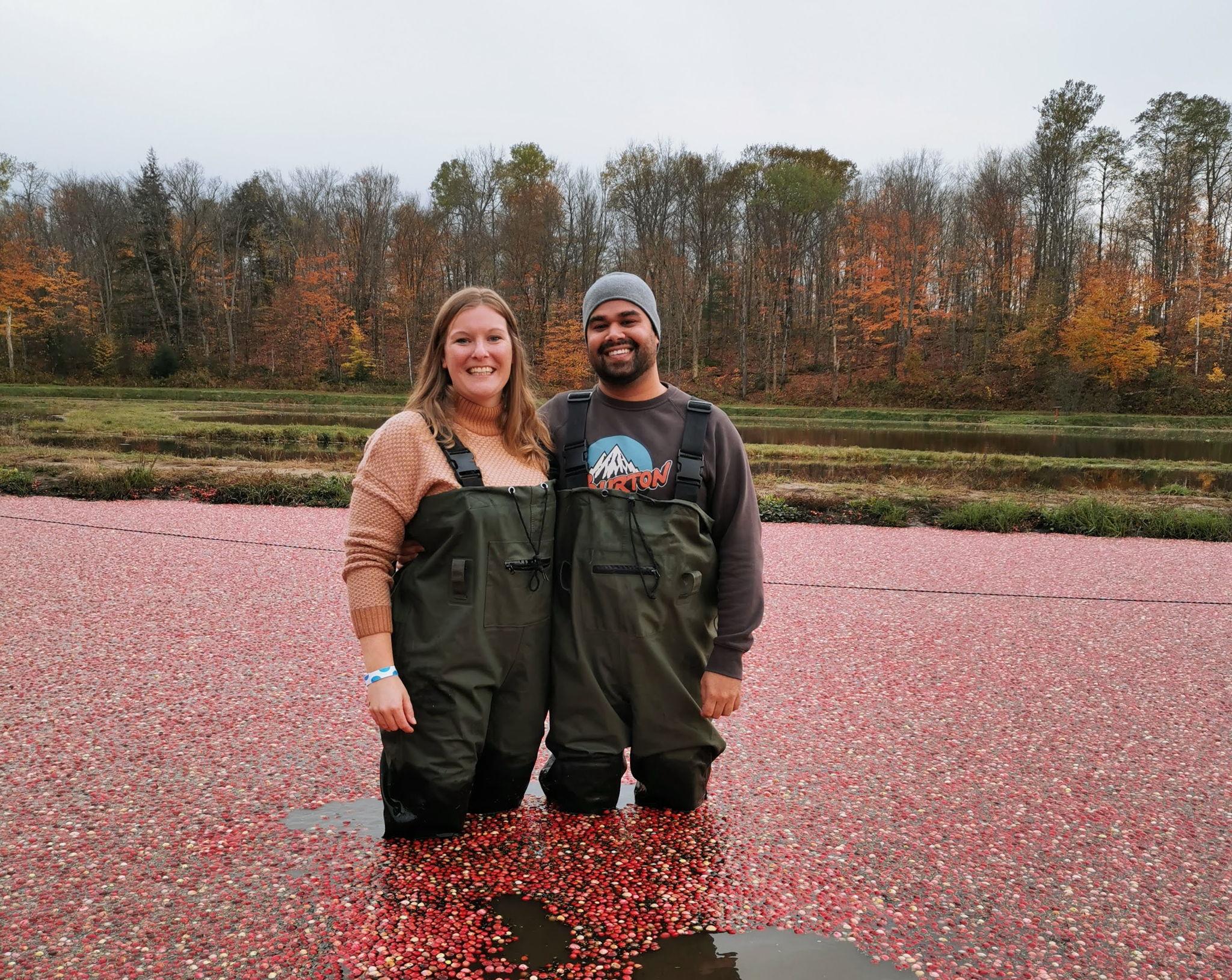 The Wedding Website of Lindsey Thurston and Zubin Forbes