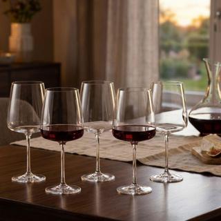 Sensa Burgundy Wine Glass, Set of 6