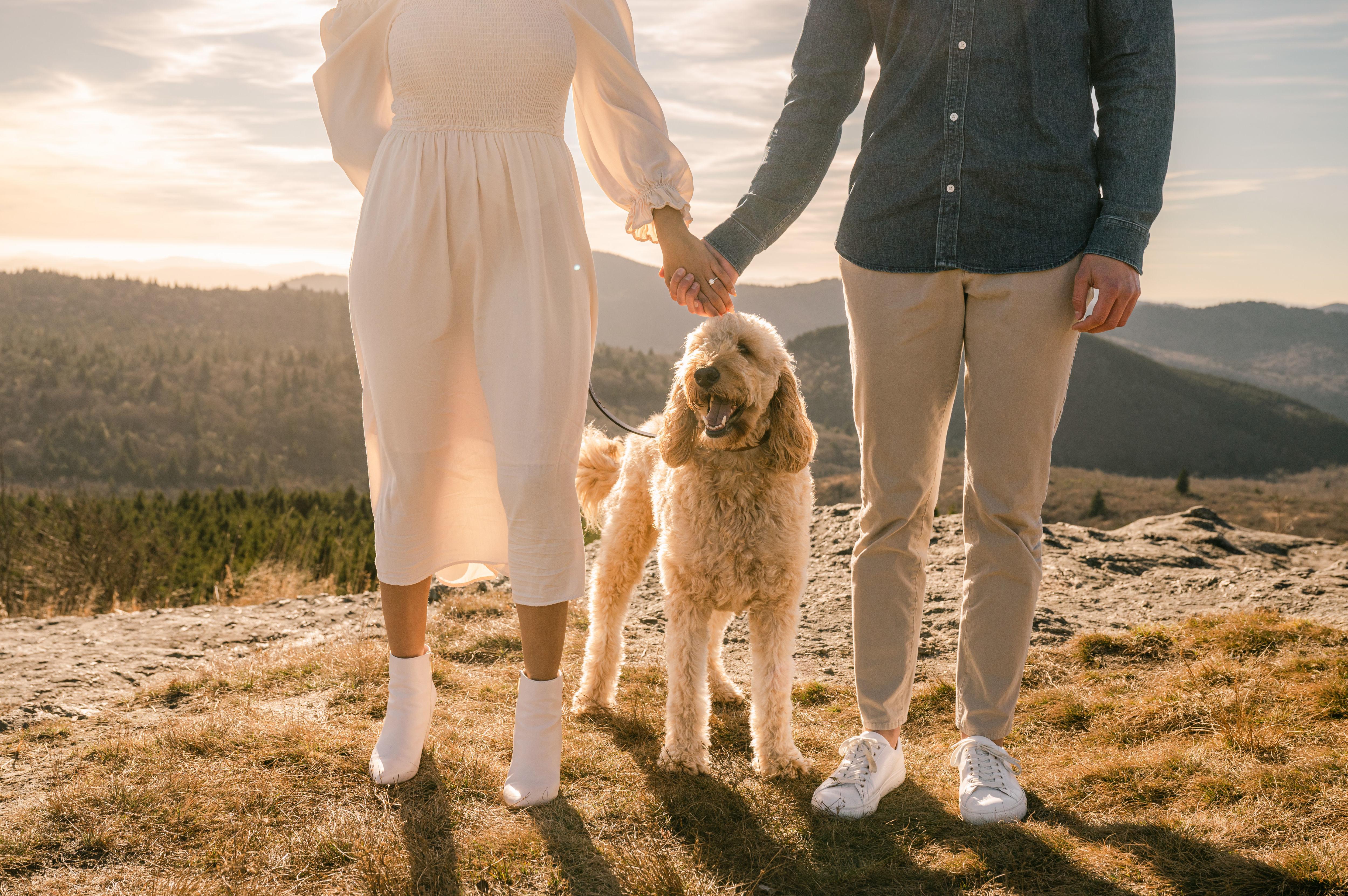 The Wedding Website of Agnes Fagerlund and Jonathan Reed