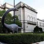 Carnegie Museum of Natural History