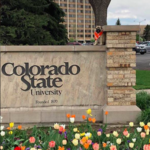Colorado State University