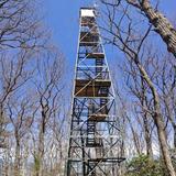 Cook Forest Fire Tower