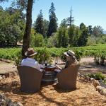 Bartholomew Estate Winery / Park - Wine Tasting, Hiking, Picnics, Horseback Riding