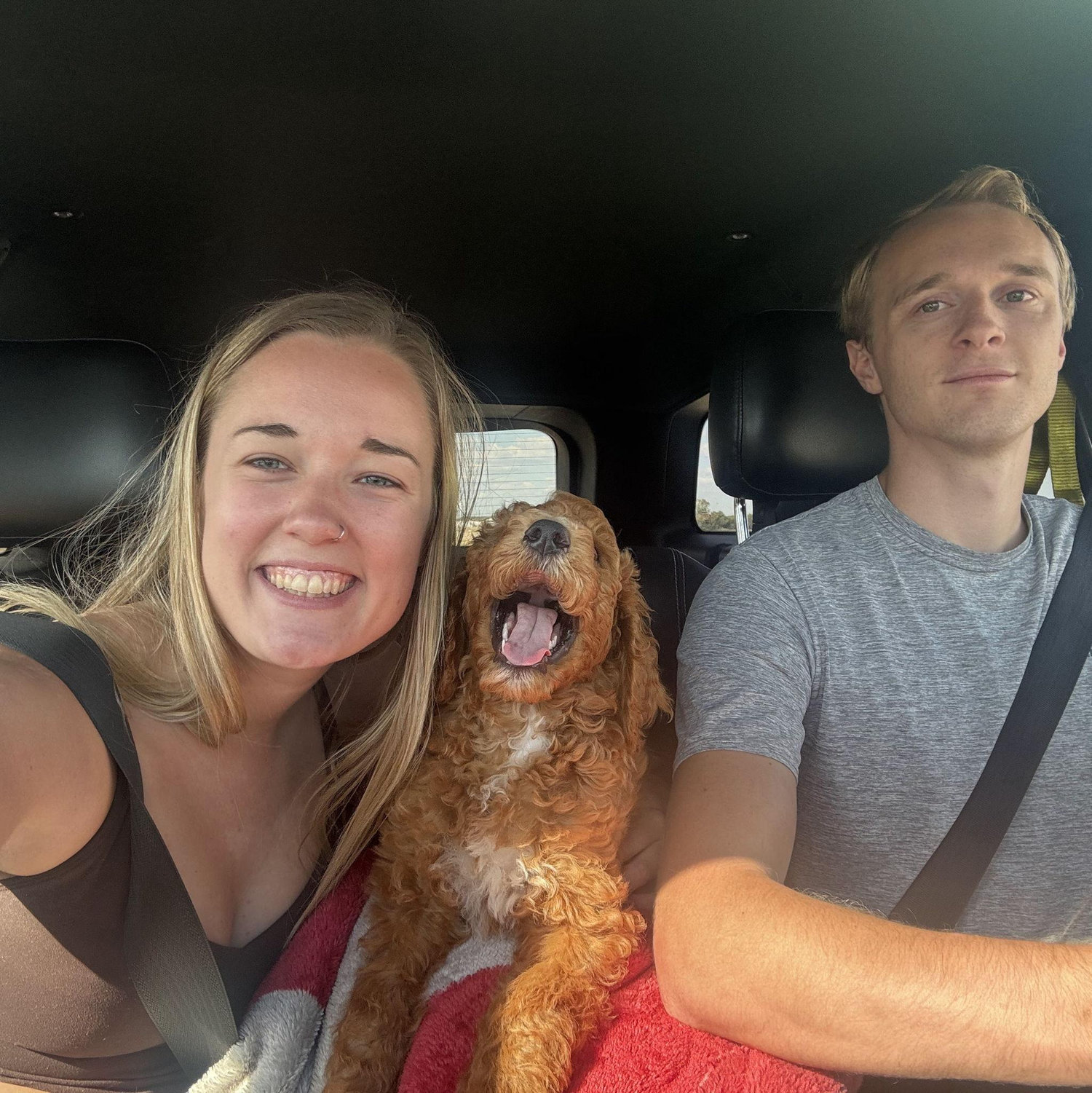 Our first day with Ollie! Our drive home from Dallas to go introduce him to Coco.