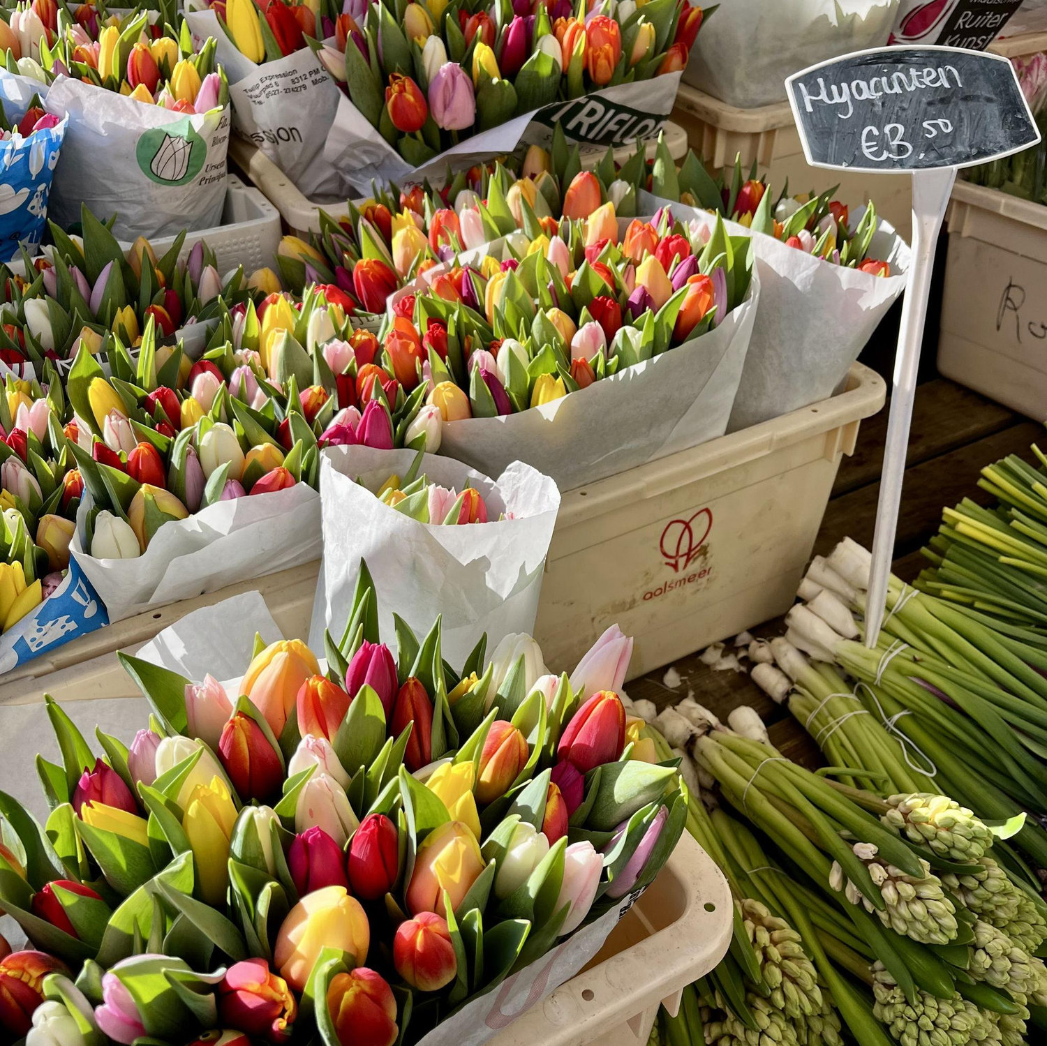 Flower markets in the Netherlands - February 2022