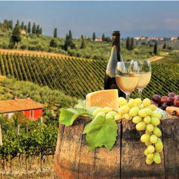 Wine Tasting in Tuscany