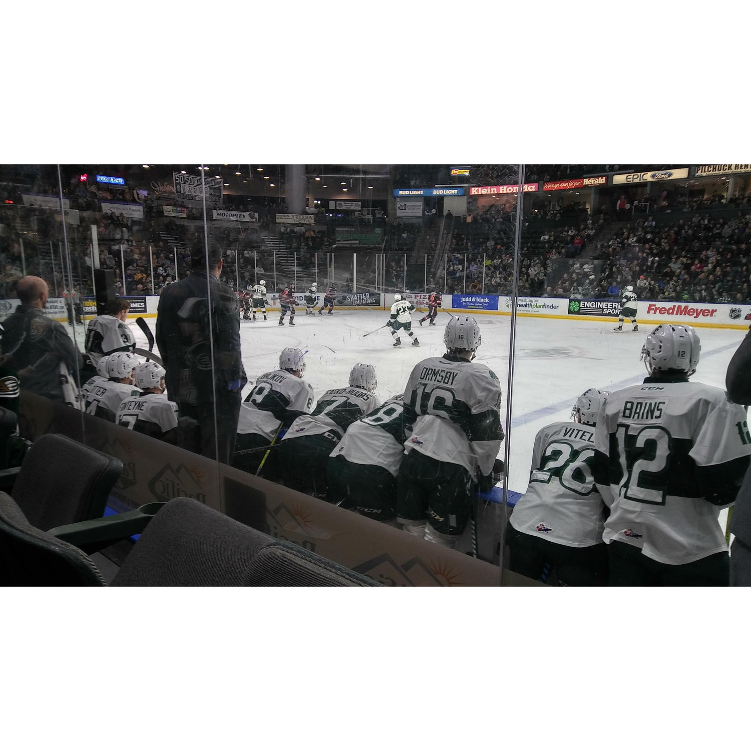 Catching a Silvertips Game in 2017