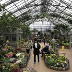 Krohn Conservatory