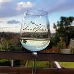 Saint Paul Mountain Vineyards