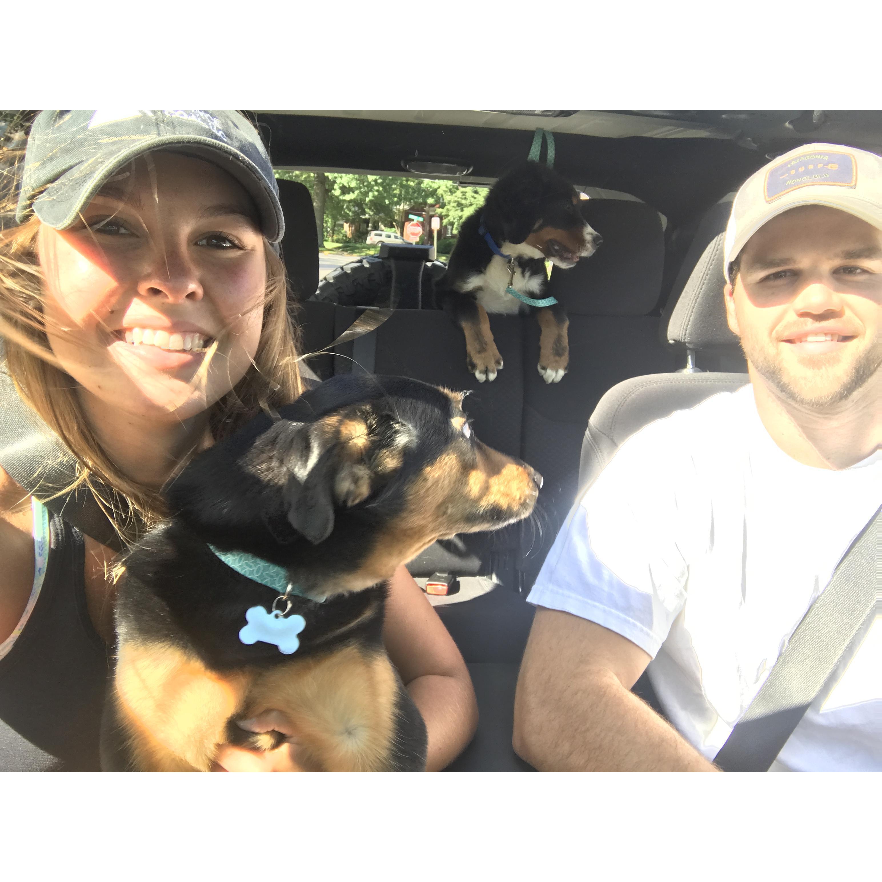 Jeep rides with the doggies!
