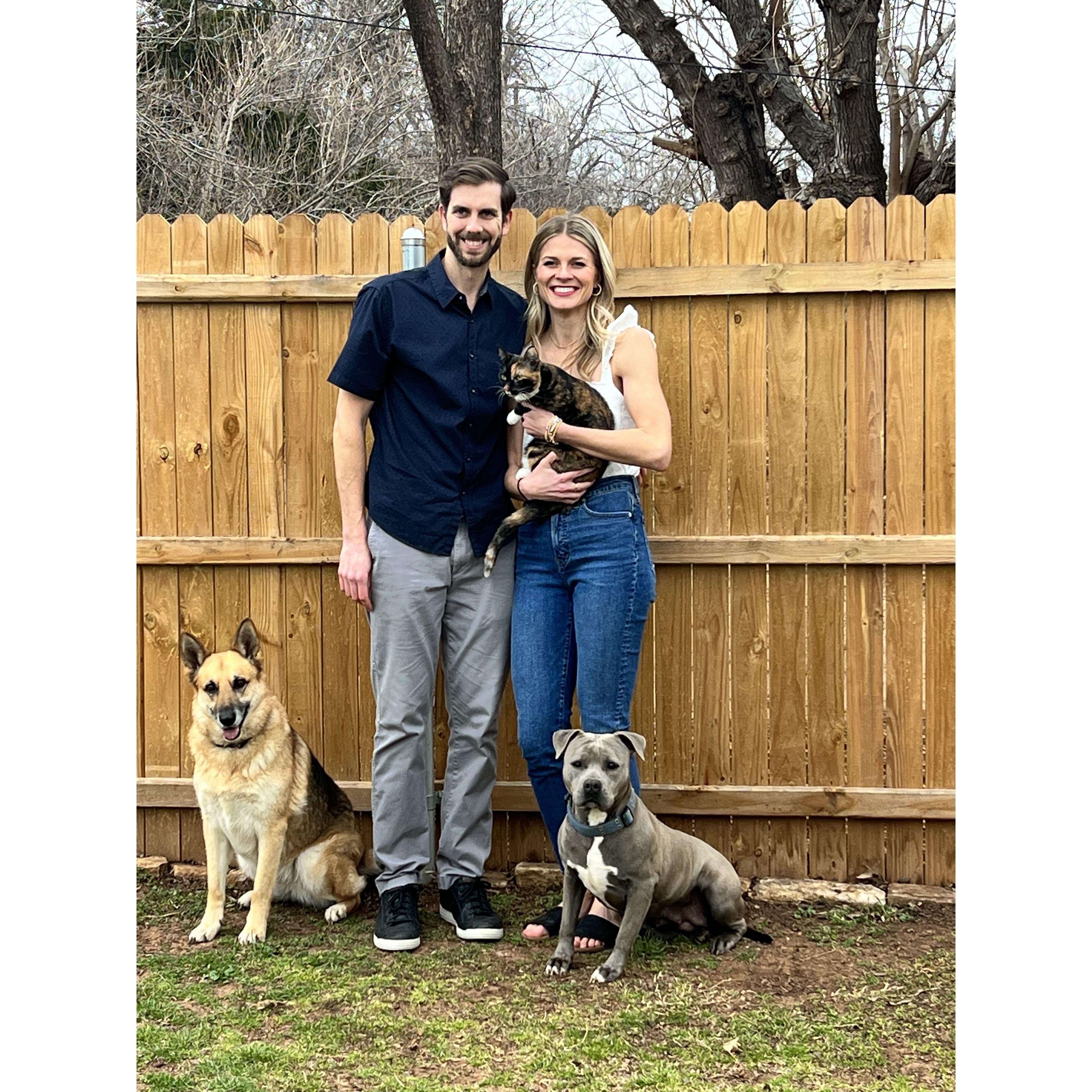 John's dogs Lexi (German Shepherd) & Luna (pit bull), and Alyssa's cat Cora.