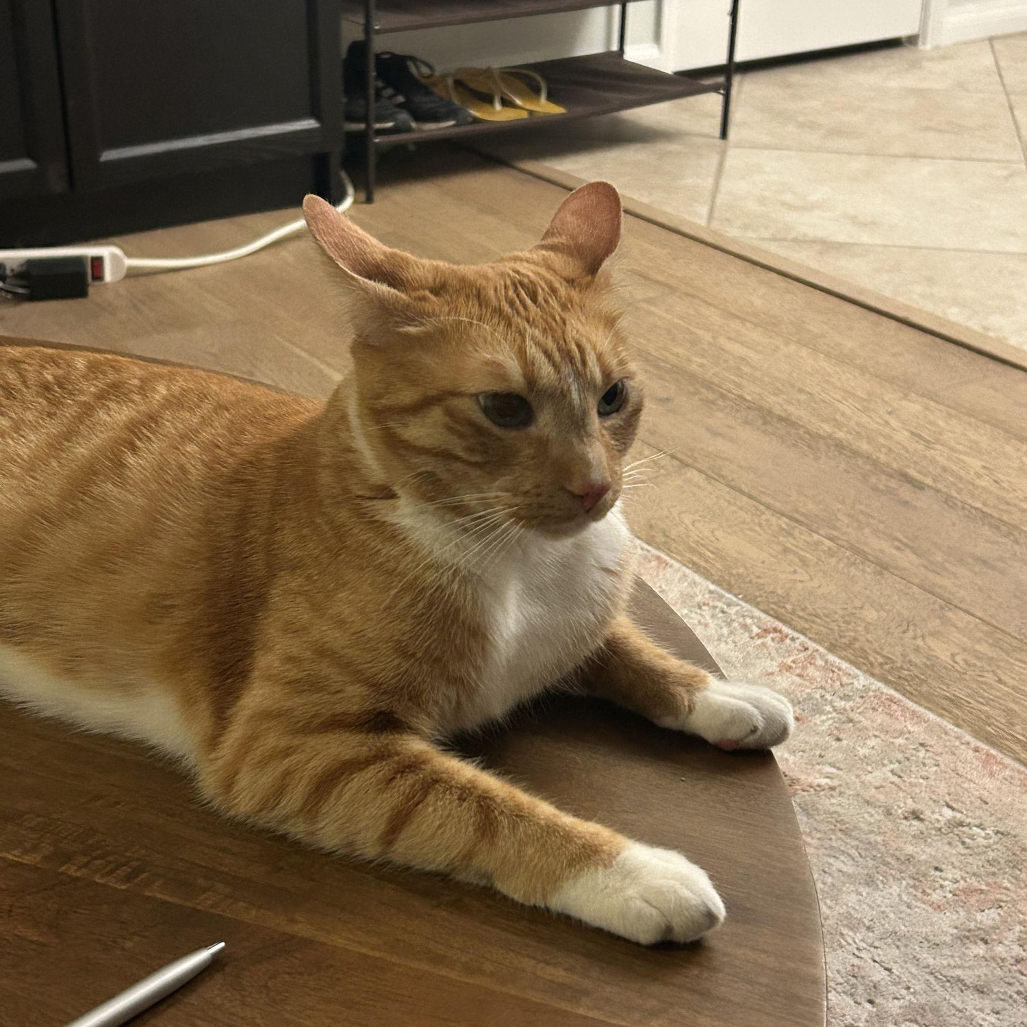 Mr. Airplane Ears himself