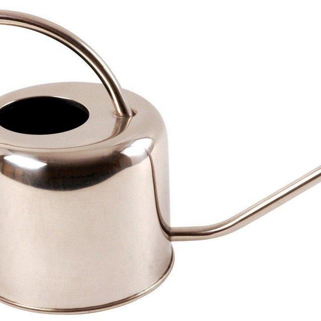 Esschert Design Stainless Steel Watering Can Modern Style, Small