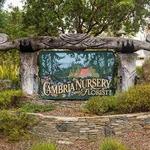 Cambria Nursery and Florist