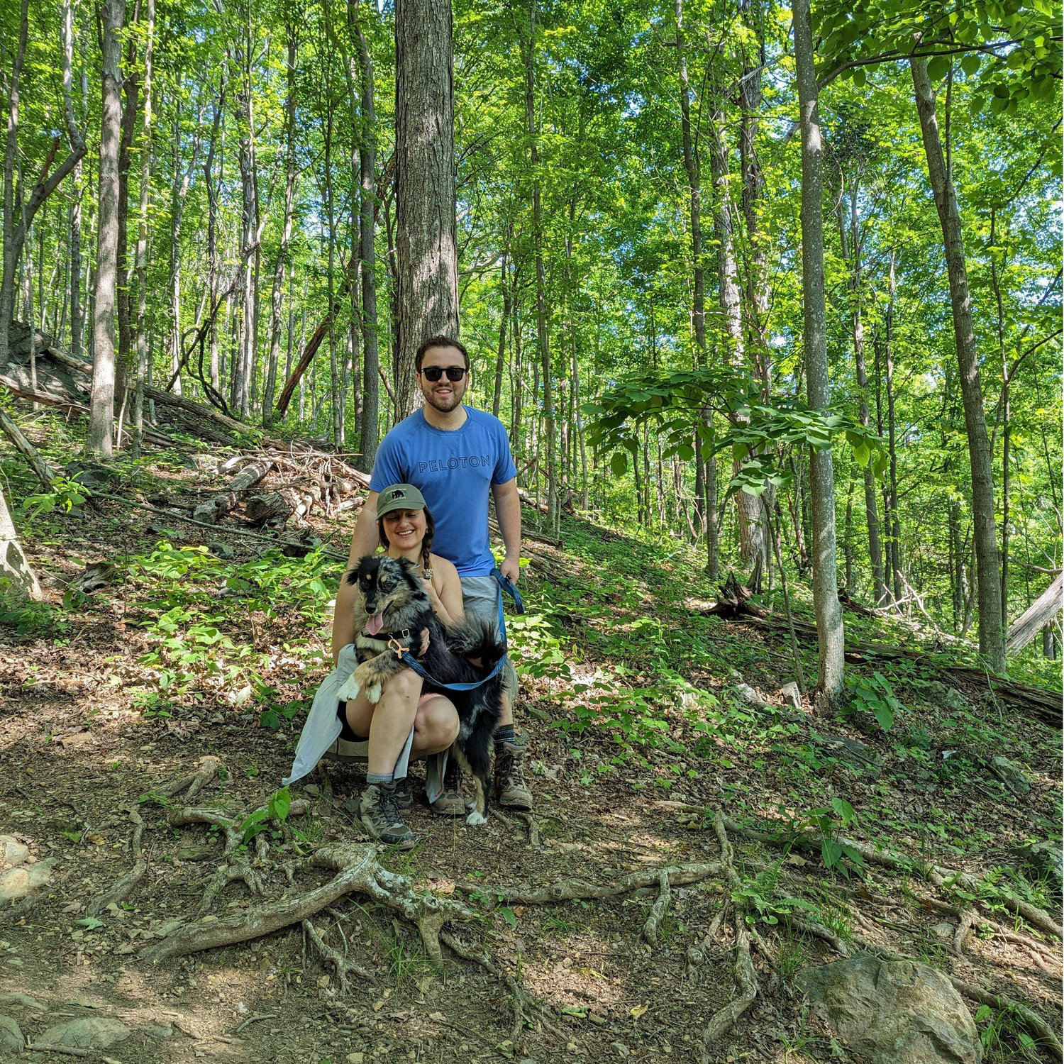 Hiking with Bear - Shenandoah National Park