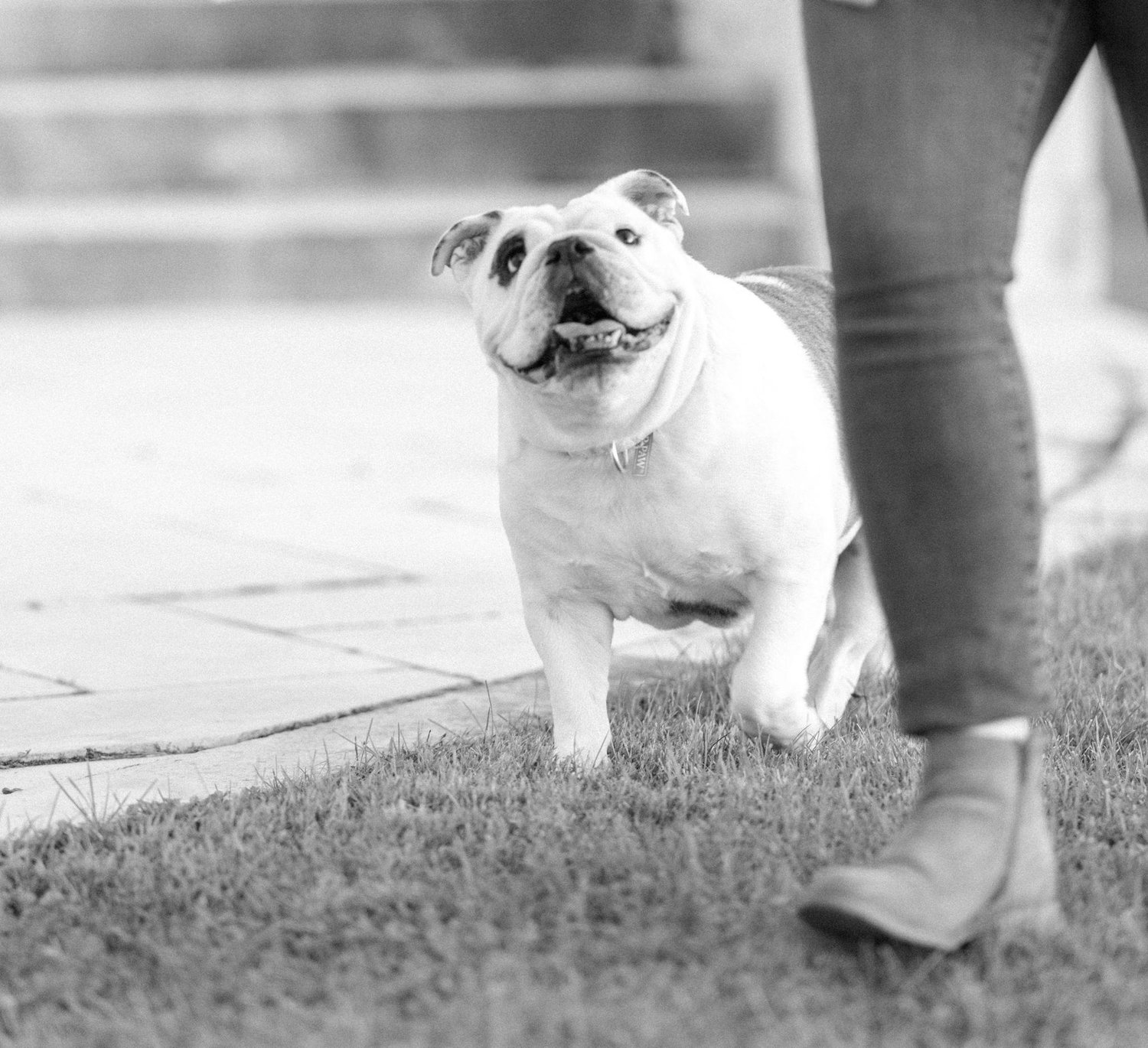 The Wedding Website of Amanda Odendahl and Ryan Lazier
