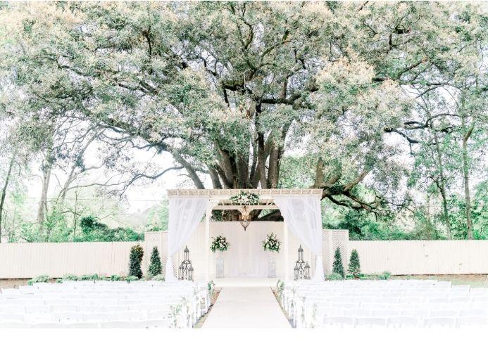 The Wedding Website of Chardy VanDiver King and Clifford Profit Sr.