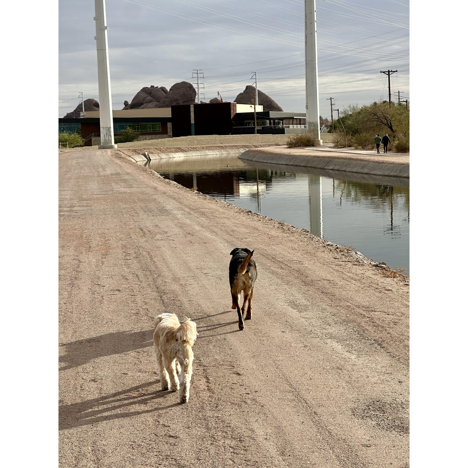 More Papago walks