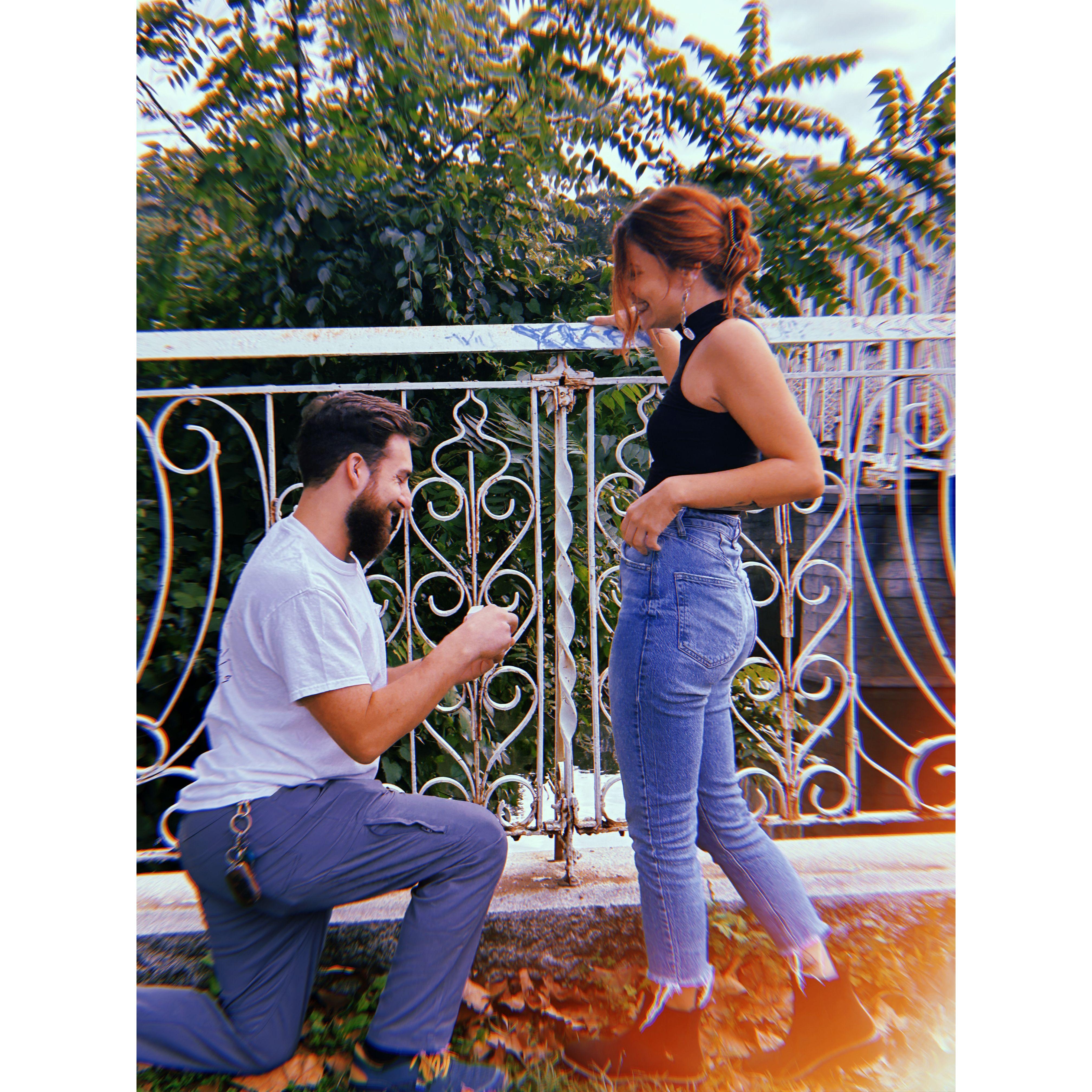 Mid-proposal. Pure fricken joy. (September 30, 2023)