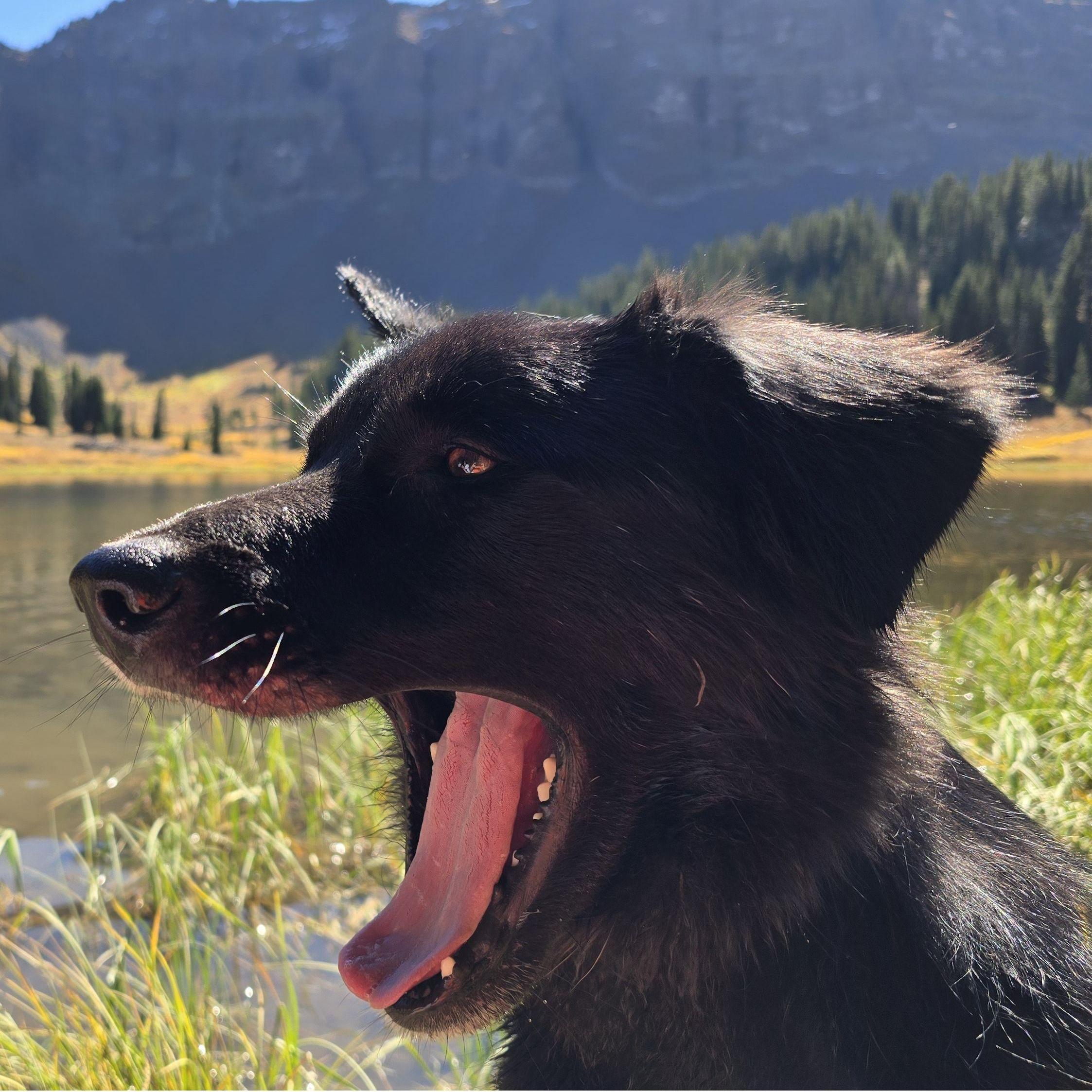 Thought that everyone should see this picture of Clacy - Jeff