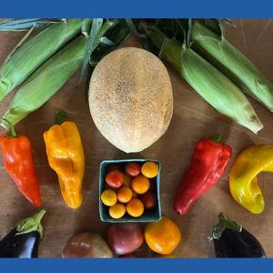 South Wind Produce - Organic Community Supported Agriculture in Durham NC (15 week subscription)