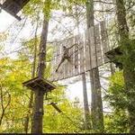Go on an Adventure: Adirondack Extreme Adventure Course