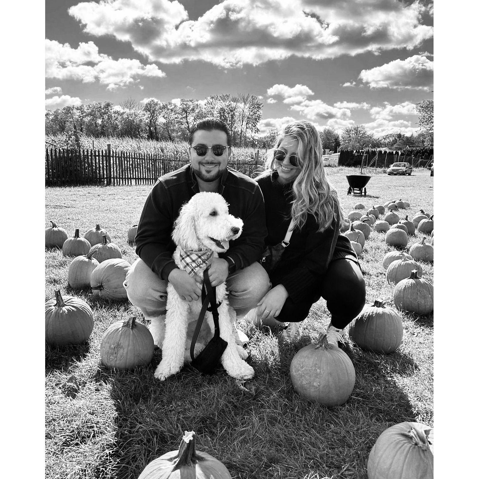 Tucker's first pumpkin patch!