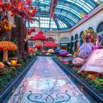 Bellagio Conservatory & Botanical Gardens